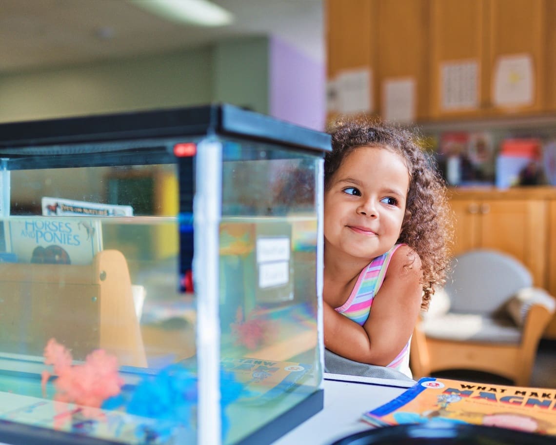 Home-Carousel__Fish-Tank